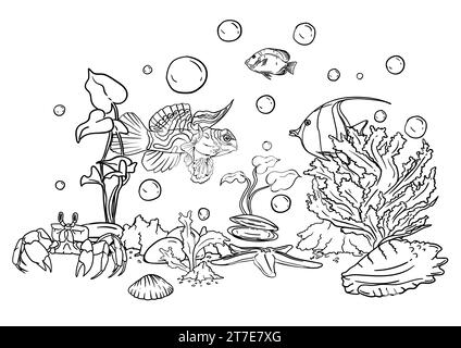 Illustration vectorielle d'un livre de coloriage du monde sous-marin avec de beaux poissons, coquillages, algues dans la mer Illustration de Vecteur