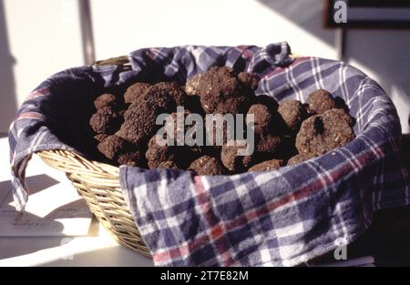 Acqualagna. Province de Pesaro Urbino. Marche. Italie. Truffes Banque D'Images