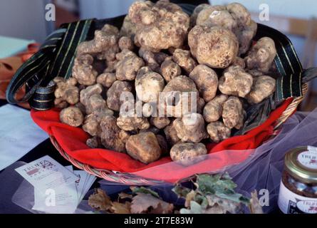 Acqualagna. Province de Pesaro Urbino. Marche. Italie. Truffes blanches Banque D'Images