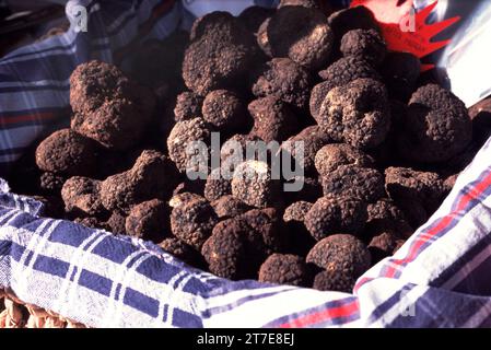 Acqualagna. Province de Pesaro Urbino. Marche. Italie. Truffes Banque D'Images