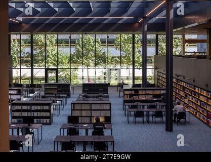 Salle de lecture, Bibliothèque nationale polonaise, Biblioteka Narodowa, Varsovie, Pologne Banque D'Images