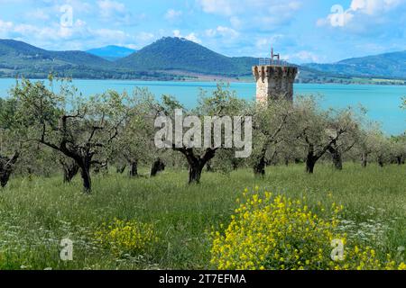 La Forteresse. Île de Polvese. Lac Trasimeno. Ombrie. Italie Banque D'Images