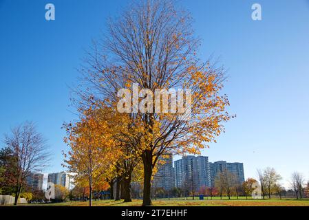 Style de vie de l'appartement vivant avec la couleur de feuille d'automne Banque D'Images