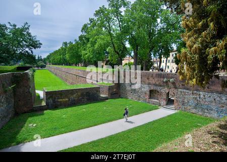 Murs près du rempart de San Colombano. Lucca. Toscane. Italie Banque D'Images