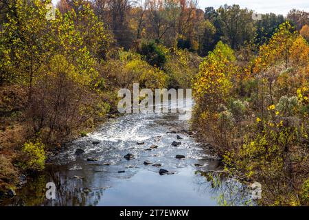 Une crique avec des rochers serpente à travers un paysage forestier rustique d'automne. Banque D'Images