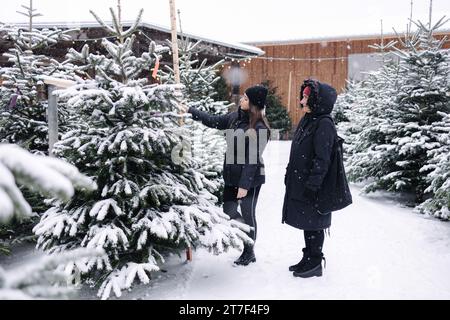 Fille dans la loi aider à acheter l'arbre de Noël pour la mère dans la loi en plein air à la foire. Enneigé Banque D'Images
