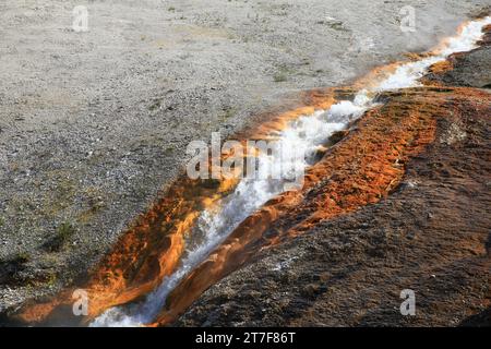 Eau de source chaude traversant un rocher dans le parc national de Yellowstone Banque D'Images