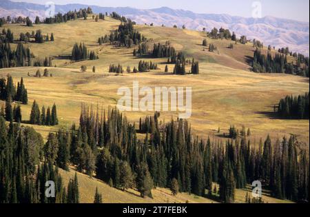 Little Eagle Meadows, Eagle Cap Wilderness, Wallowa-Whitman National Forest, Oregon Banque D'Images