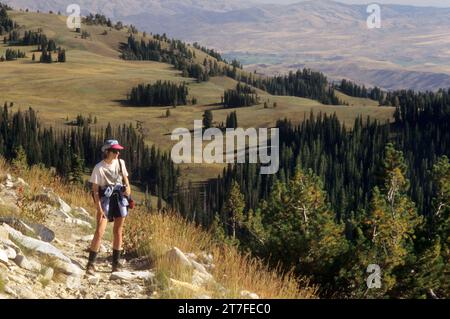 Little Eagle Meadows, Eagle Cap Wilderness, Wallowa-Whitman National Forest, Oregon Banque D'Images