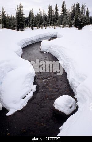White Wild & Scenic River en hiver, forêt nationale de Mt Hood, Oregon Banque D'Images