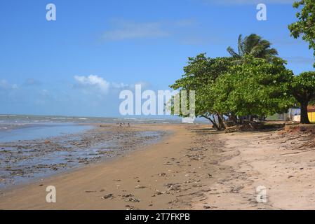 déchets jetés sur la plage, les eaux usées et la saleté, mauvais soin de la nature, prolifération des maladies épidémiques Banque D'Images