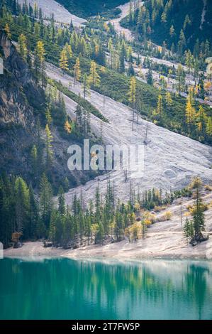 Mélèzes colorés sur une pente de montagne près d'un lac alpin Banque D'Images