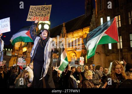 Londres, Royaume-Uni, 15 novembre 2023, les manifestants au rassemblement pour la Palestine devant le Parlement alors que les députés votent une motion de cessez-le-feu. Crédit : Antony Medley/Alamy Live News Banque D'Images