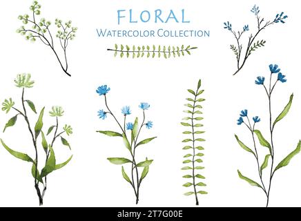 vecteurs de collection florale aquarelle pour dessins et cartes Illustration de Vecteur