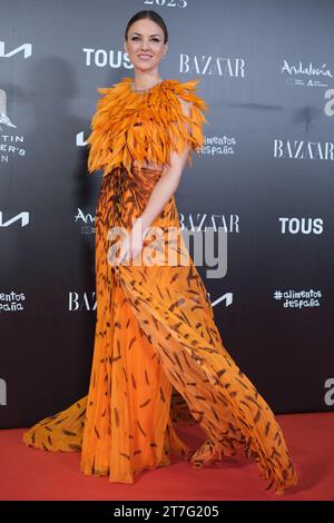 Helen Lindes assiste aux Harper's Bazaar Women of the Year Awards 2023 à Cines Callao le 15 novembre 2023 à Madrid, en Espagne. Banque D'Images