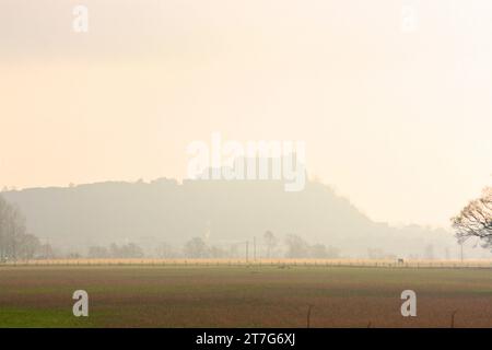 château de stirling vu dans la brume de loin avec champ, cheval et arbres en vue. Banque D'Images