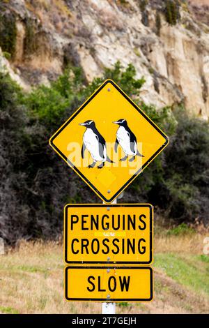 Oamaru a été construit entre les collines de calcaire et courte étendue de terre plate à la mer. Une colonie de petits pingouins bleus vit dans un di Banque D'Images