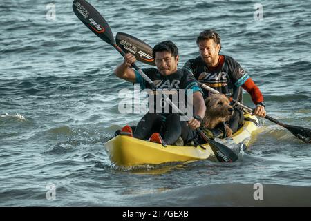 DATE DE SORTIE : 22 février 2024. TITRE : Arthur le Roi. STUDIO : Lions Gate films. RÉALISATEUR : Simon Cellan Jones. INTRIGUE : un coureur d'aventure adopte un chien errant nommé Arthur pour le rejoindre dans une course d'endurance épique. AVEC SIMU LIU comme Leo, MARK WAHLBERG comme Michael. (Image de crédit : © Lions Gate films/Entertainment Pictures/ZUMAPRESS.com) À USAGE ÉDITORIAL SEULEMENT! Non destiné à UN USAGE commercial ! Banque D'Images