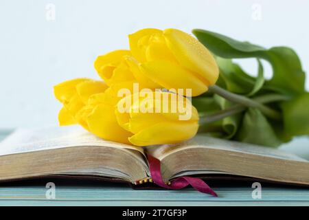 Livre de bible sacré ouvert avec tulipes jaunes sur bois avec fond blanc. Croissance chrétienne, changement, espérance et nouvelle vie dans le concept de Dieu Jésus Christ. Banque D'Images