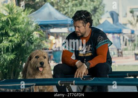 DATE DE SORTIE : 22 février 2024. TITRE : Arthur le Roi. STUDIO : Lions Gate films. RÉALISATEUR : Simon Cellan Jones. INTRIGUE : un coureur d'aventure adopte un chien errant nommé Arthur pour le rejoindre dans une course d'endurance épique. AVEC MARK WAHLBERG dans le rôle de Michael. (Image de crédit : © Lions Gate films/Entertainment Pictures/ZUMAPRESS.com) À USAGE ÉDITORIAL SEULEMENT! Non destiné à UN USAGE commercial ! Banque D'Images