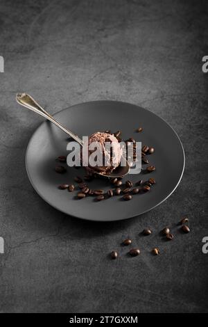 Assiette à angle élevé avec crème glacée au chocolat Banque D'Images