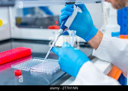 Photo en gros plan des mains d'un scientifique pipetant des échantillons médicaux dans une microplaque en laboratoire Banque D'Images