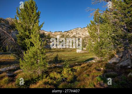 OR04749-00...OREGON - Copper Creek Trail traversant Elkhorn Creek Meadows dans la nature sauvage d'Eagle Cap. Banque D'Images