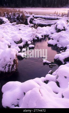 Lake Ann, sortie Mt Jefferson Wilderness, forêt nationale de Willamette, Oregon Banque D'Images