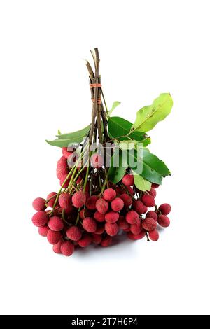 Un bouquet de Nephelium hypoleucum rouge, qui ont l'air délicieux, est attaché ensemble sur un fond blanc. Banque D'Images