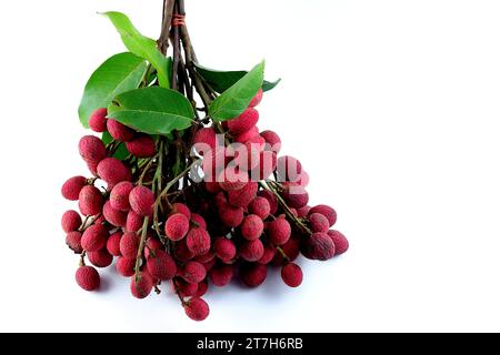 Un bouquet de Nephelium hypoleucum rouge, qui ont l'air délicieux, est attaché ensemble sur un fond blanc. Banque D'Images