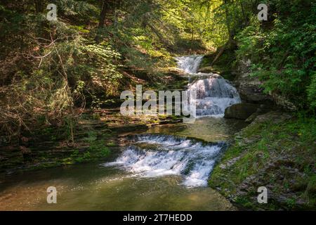 Deux petites cascades dévalent un vallon boisé sous des pruches, avec un bassin calme et un rocher moussu au Robert H. Treman State Park, New York. Banque D'Images
