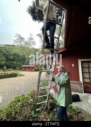 Santa Barbara, Californie, États-Unis. 15 novembre 2023. Le 15 novembre 2023, entre les pluies, le résident aîné de Santa Barbara tient une échelle. (Image de crédit : © Amy Katz/ZUMA Press Wire) USAGE ÉDITORIAL SEULEMENT! Non destiné à UN USAGE commercial ! Banque D'Images