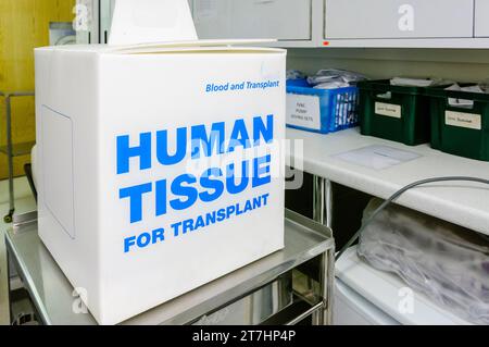 Boîte dans un hôpital disant "tissu humain pour transplantation" Banque D'Images