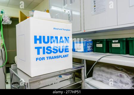 Boîte dans un hôpital disant "tissu humain pour transplantation" Banque D'Images