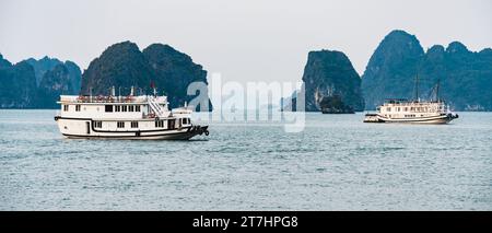 De tourisme de croisière à la baie d'Halong, Vietnam Banque D'Images