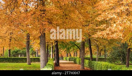 Paysage d'automne du parc El Retiro, le plus ancien de la ville de Madrid, en Espagne. Banque D'Images