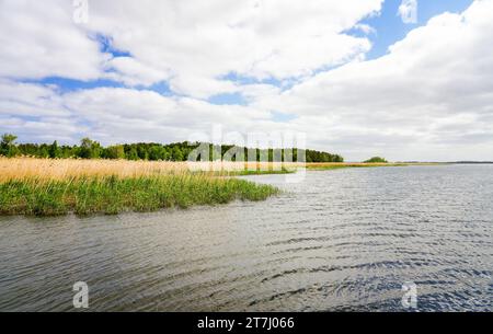 Vue sur le lac Zalew Kamienski. Paysage à la lagune de la Dziwna, qui se jette dans la mer Baltique. La nature dans la voïvodie polonaise de Poméranie occidentale Banque D'Images