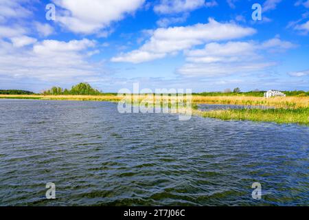 Vue sur le lac Zalew Kamienski. Paysage à la lagune de la Dziwna, qui se jette dans la mer Baltique. La nature dans la voïvodie polonaise de Poméranie occidentale Banque D'Images