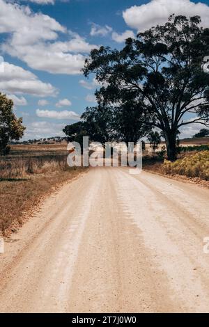 Route poussiéreuse traversant l'outback australien en été. Banque D'Images