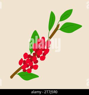 branche de café vecteur moderne avec baie rouge Illustration de Vecteur