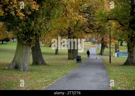 Lightwood Park en automne, Bearwood, Birmingham West Midlands, Angleterre, Royaume-Uni Banque D'Images
