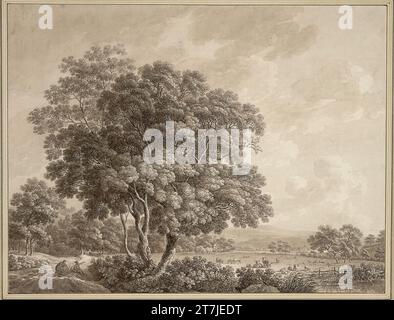 Johann Friedrich Franz Bruder arbre - prairie couverte près de Potschiaygen, dans le groupe d'arbres dominant au premier plan. Stylo et pinceaux en gris -brun, laviest, sur crayon 1799 , 1799 Banque D'Images