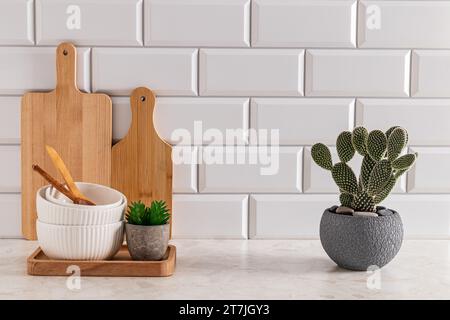 Ensemble de bols en céramique et planches à découper sur comptoir léger en pierre dans une cuisine moderne avec opuntia en pot, cactus. Vue avant. minimalisme Banque D'Images