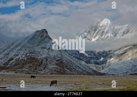 Cordillera Huayhuash, Pérou, Nevado Jirisanca, 6'094m et Nevado Mituraju, 5'750m Banque D'Images