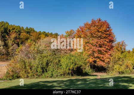 Codorus State Park par un bel après-midi d'automne Banque D'Images