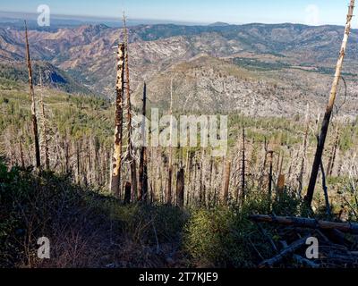 Le feu a endommagé la forêt au-dessus de la vallée de Yosemite vu de Glacier Piint Road, parc national de Yosemite, Californie, États-Unis Banque D'Images