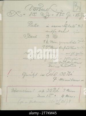 Richard Teschner Notes sur une tentative de gravure ; petit croquis (tête debout). Crayon ; crayon de couleur rouge Sketchbook : 1915-1947 , 1915/1947 Banque D'Images