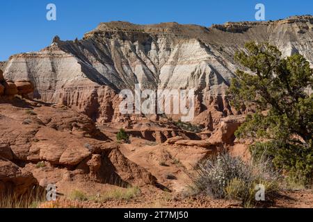 Un pipe de sable ou une cheminée rocheuse vue depuis le sentier Angel's Palace Trail dans le parc d'État de Kodachrome Basin dans l'Utah. Banque D'Images