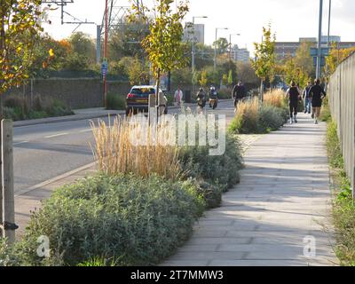 La plantation nouvellement installée sépare la chaussée d'une nouvelle piste cyclable sur Forest Road, Tottenham, Londres, Royaume-Uni. Montre les cyclistes et les joggeurs. Banque D'Images