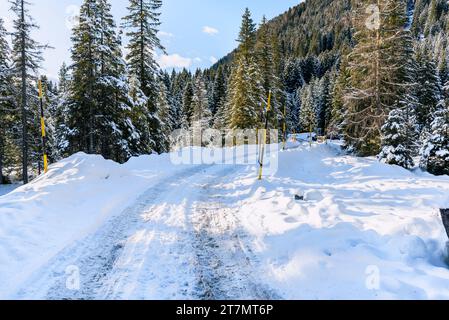 Route arrière couverte de neige déserte à travers une forêt enneigée par une journée ensoleillée d'hiver Banque D'Images